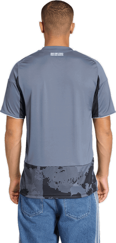Фланелка adidas Originals Eintracht Frankfurt 3rd Jersey 2025/26 Сиво | kk6442, 5
