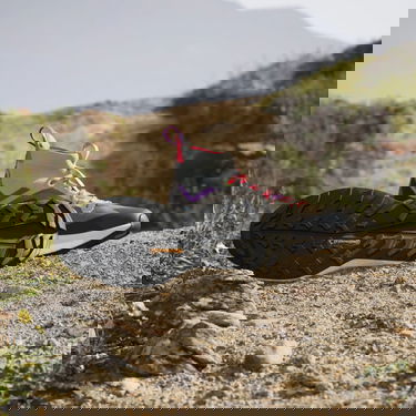Кецове и обувки adidas Performance Terrex Free Hiker 2.0 Hiking Сиво | ID5897, 1