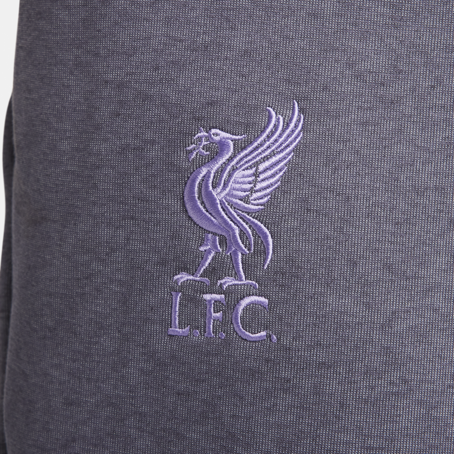 Панталони Nike Liverpool FC Tech Fleece Сиво | FQ8021-015, 1