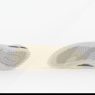 Кецове и обувки Nike Dunk Low Gtx EUR 46 Бежово | HQ2053-002, 1