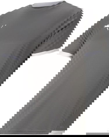 Фланелка Puma teamLIGA Jersey Сиво | 70491713, 0