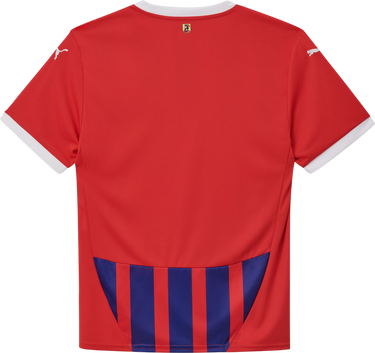 Фланелка Puma FCH Heidenheim Home Jersey Digital Stripe Pattern Многоцветен | 780527-001, 1