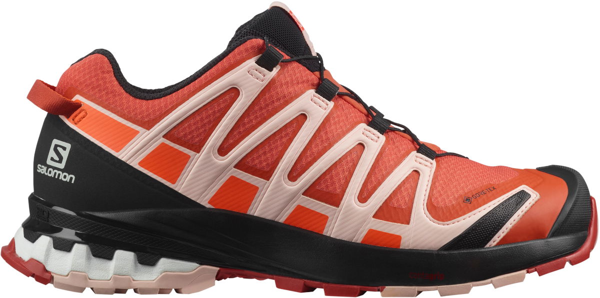 Кецове и обувки Salomon XA PRO 3D v8 GTX W Оранжево
 | l41442700, 0