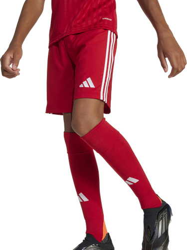 Къси панталони adidas Originals adidas TASTIGO25 Shorts Червено | jn7172, 5