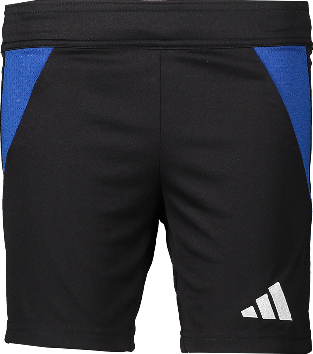 cuLIC24 Custom Training Shorts