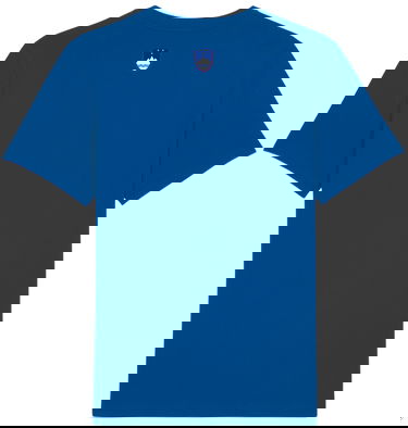 Тениска Nike NZSx11TS SLOVENIJA shirt men blue Тъмно синьо | nzsnzs800-463, 1