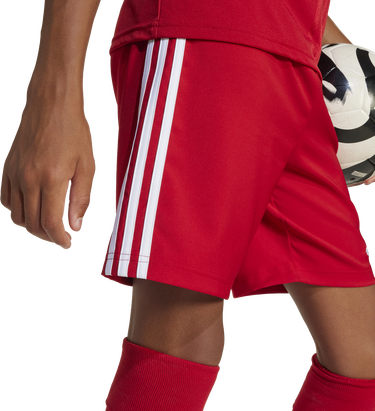 Къси панталони adidas Originals adidas TASTIGO25 Shorts Червено | jn7172, 6