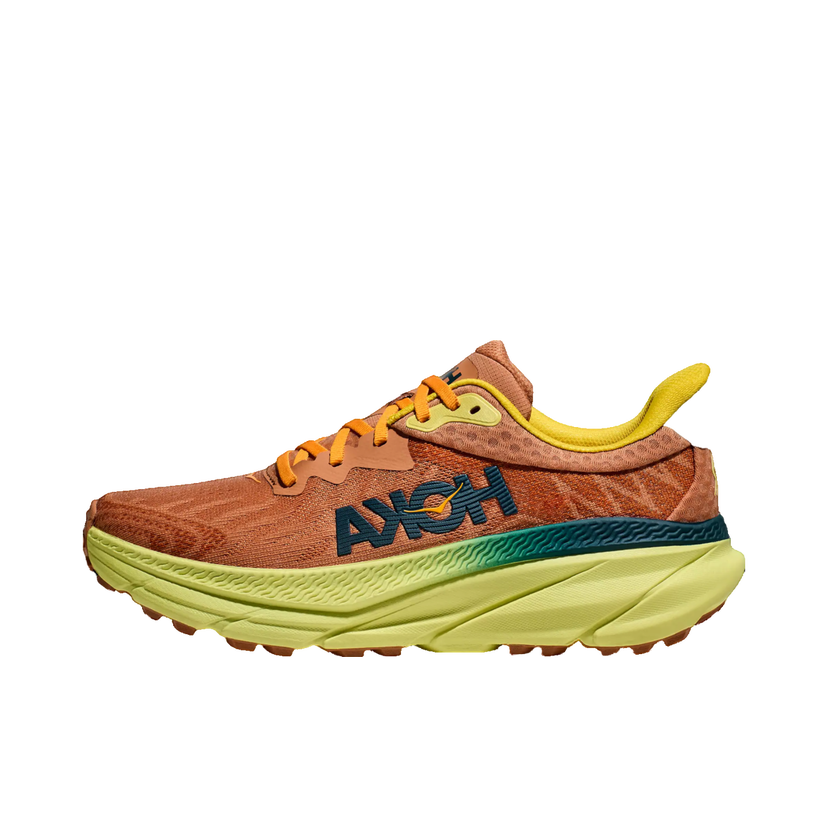 Кецове и обувки Hoka One One Challenger 7 Кафяво | 1134497-tyz