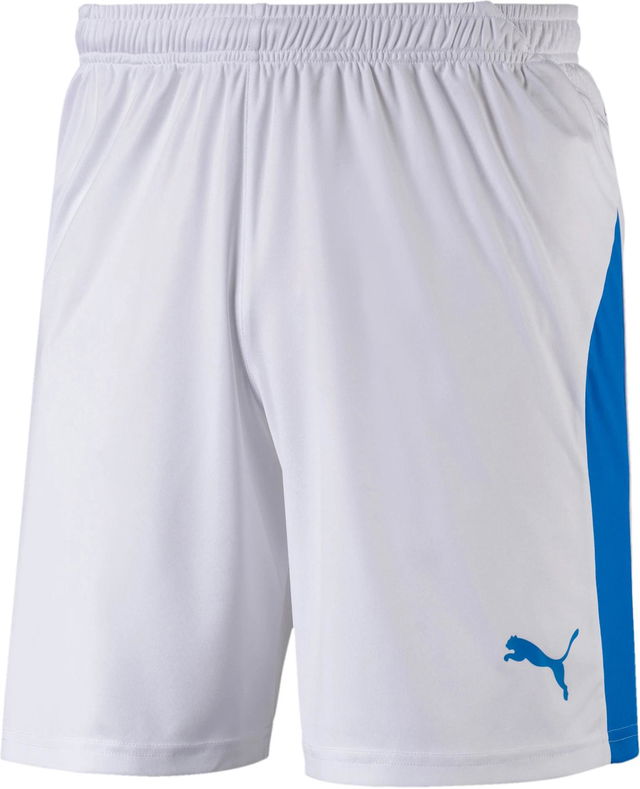 Puma LIGA Core Shorts