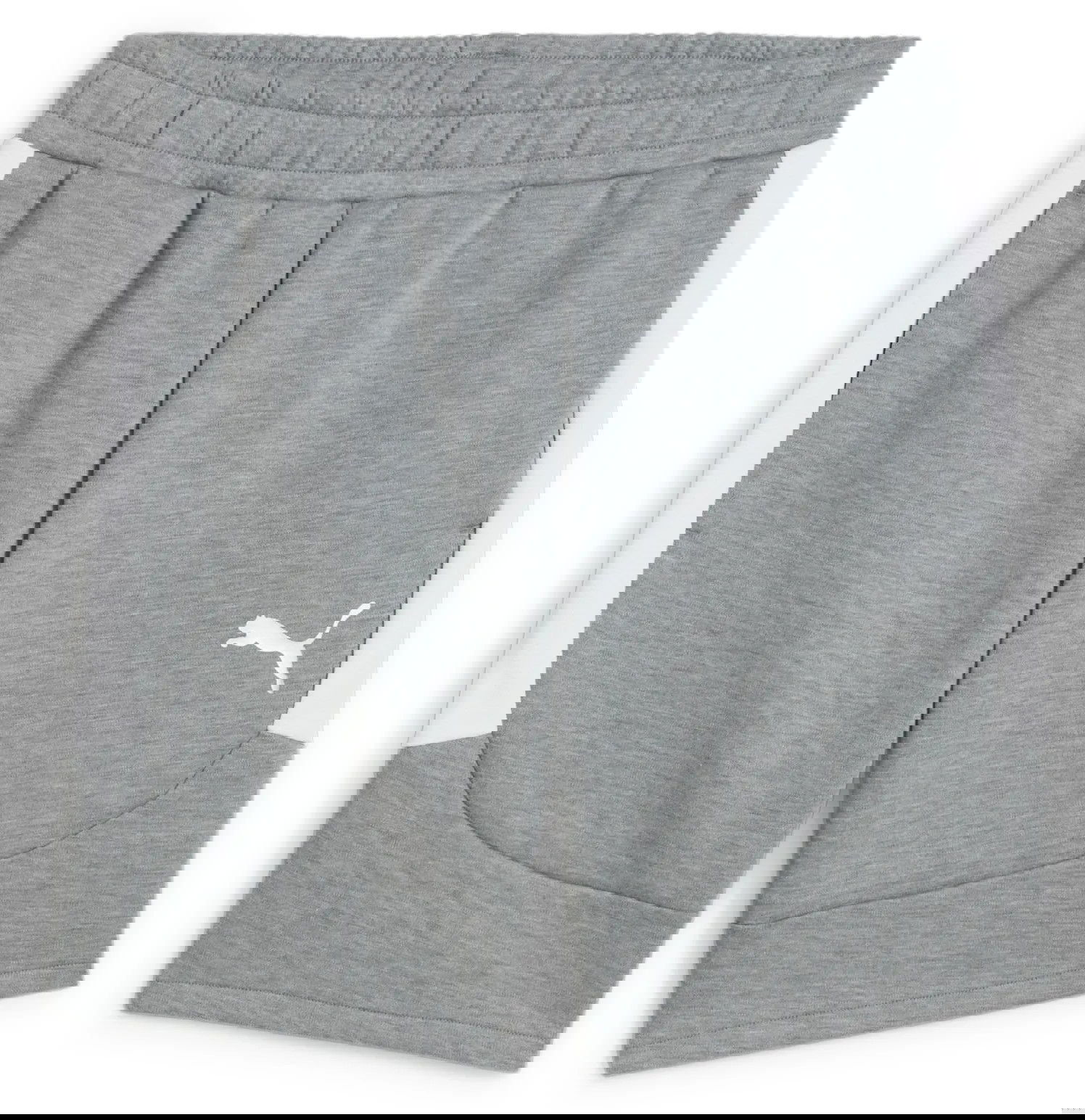 Къси панталони Puma teamEVOSTRIPE Shorts Сиво | 659951-33, 0