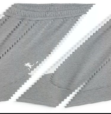 Къси панталони Puma teamEVOSTRIPE Shorts Сиво | 659951-33, 0