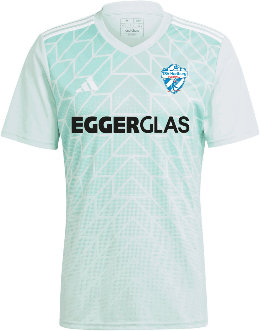 Фланелка adidas Originals TSV Hartberg 2024/2025 Jersey Зелено | tsvic1252