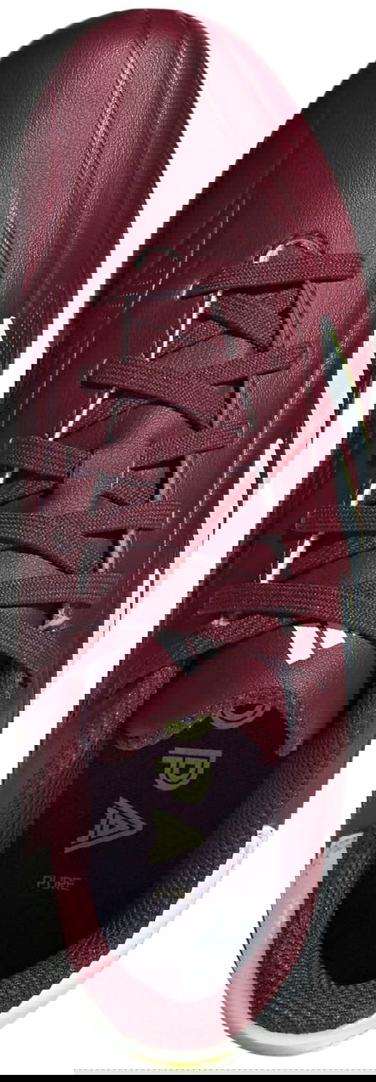 Кецове и обувки adidas Performance Adidas COPA PURE.2 League FG Бургунди | ie7494, 1