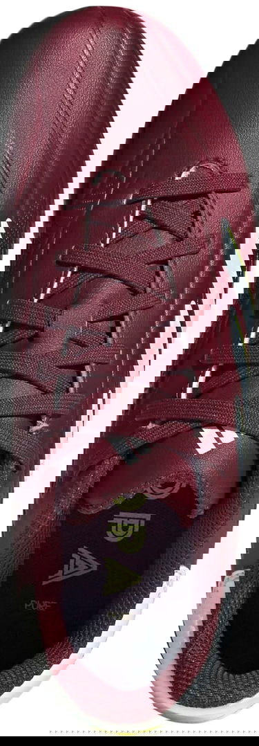 Кецове и обувки adidas Performance Adidas COPA PURE.2 League FG Бургунди | ie7494, 1