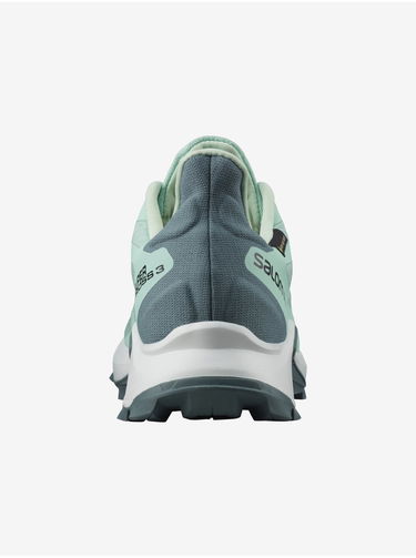 Кецове и обувки Salomon Supercross GTX W Зелено | L41456600, 4