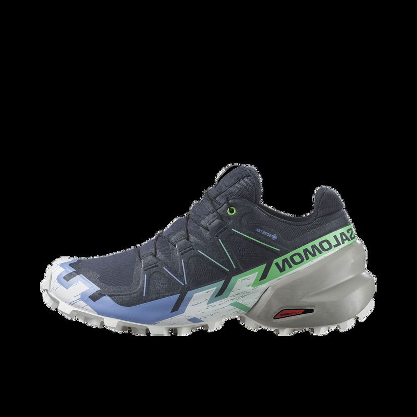 Кецове и обувки Salomon SPEEDCROSS 6 GTX W Сиво | l47465900