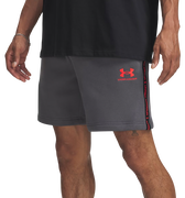 Fleece Shorts Icon Fleece