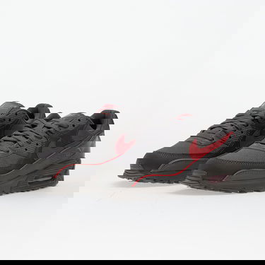 Кецове и обувки Nike Air Max 90 Premium Многоцветен | HV4517-001, 5