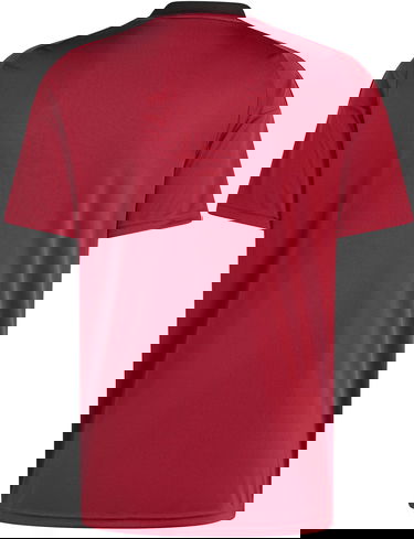 Фланелка adidas Originals Belgium Fan Jersey 2024 Червено | iq0771, 1
