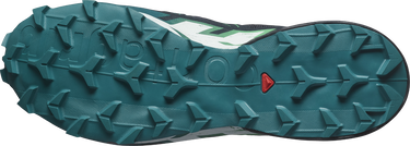 Кецове и обувки Salomon SPEEDCROSS 6 Черно | l47465300, 2