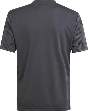 Фланелка adidas Originals Adidas Icon 25 Jersey Сиво | jj1954, 2