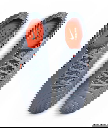 Кецове и обувки Nike LEGEND 10 ELITE FG Сиво | dv4328-402, 9