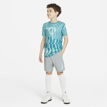Къси панталони Nike Dri-FIT Academy Сиво | CV1469-019, 1