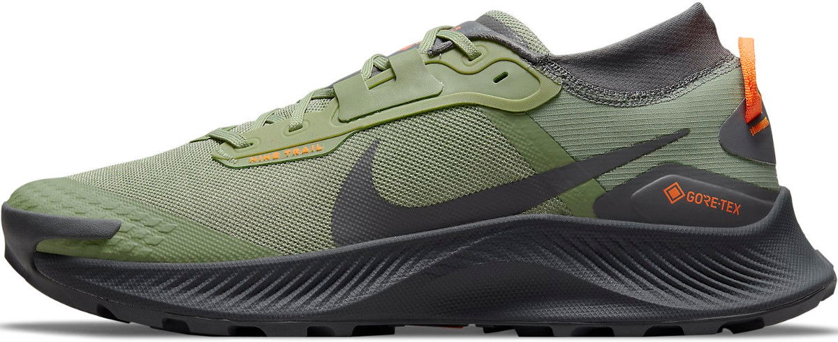 Кецове и обувки Nike Pegasus Trail 3 GTX Зелено | do6728-300, 0