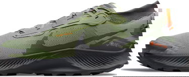 Кецове и обувки Nike Pegasus Trail 3 GTX Зелено | do6728-300, 0