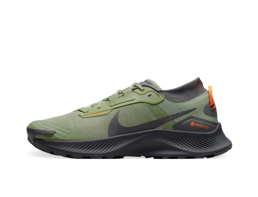 Бягане Nike Pegasus Trail 3 GTX Зелено | do6728-300