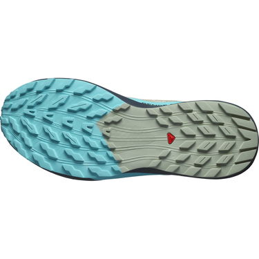 Кецове и обувки Salomon SENSE RIDE 5 43 Черно | L47458500, 3