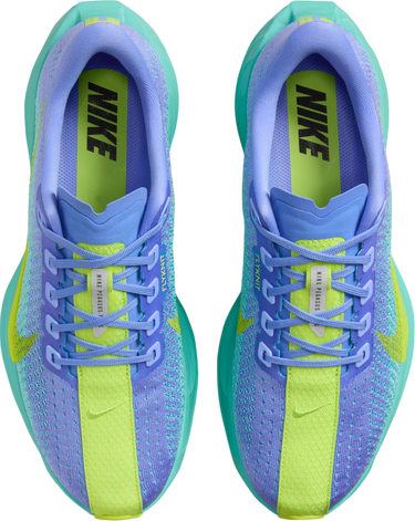 Кецове и обувки Nike Pegasus Plus Многоцветен | fq7261-401, 2