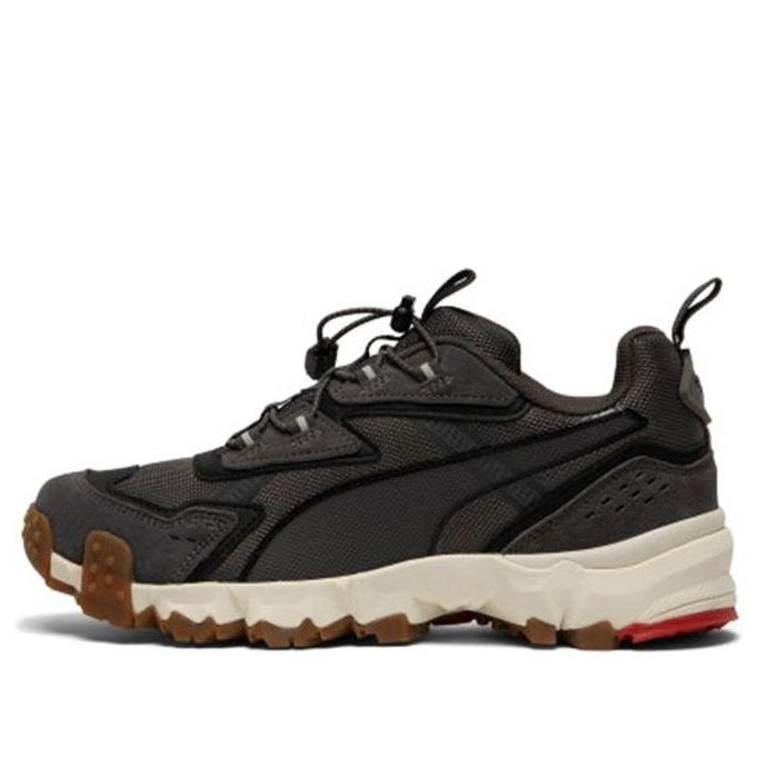 Кецове и обувки Puma Trailfox Mts Сиво | 372220-02