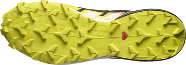 Кецове и обувки Salomon SPEEDCROSS 6 GTX Черно | l47465400, 2