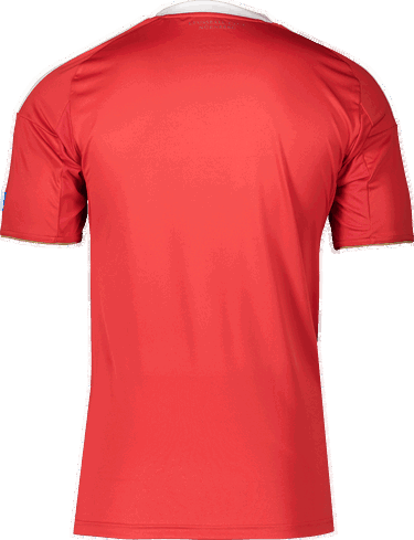 Фланелка adidas Originals 1. FC Nürnberg 3rd Jersey 2025/26 Червено | 6fcnjd7395, 1