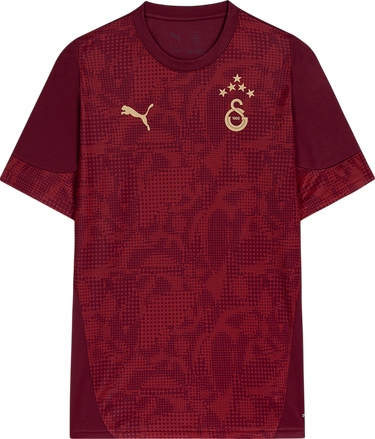 Фланелка Puma Galatasaray SK 2025/26 Training Jersey Бургунди | 782884-03, 0