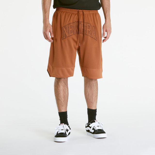 Arch Logo Mesh Shorts Brown