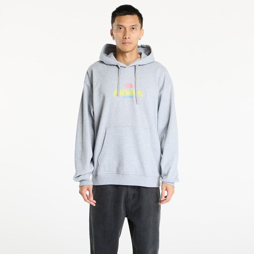 Суитчър The North Face Expedition Celebration Oversized Hoodie Сиво | NF0A8E3FDYX1