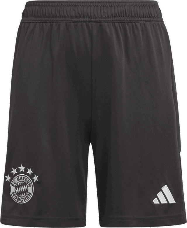 FC Bayern München Goalkeeper Short 2023/24