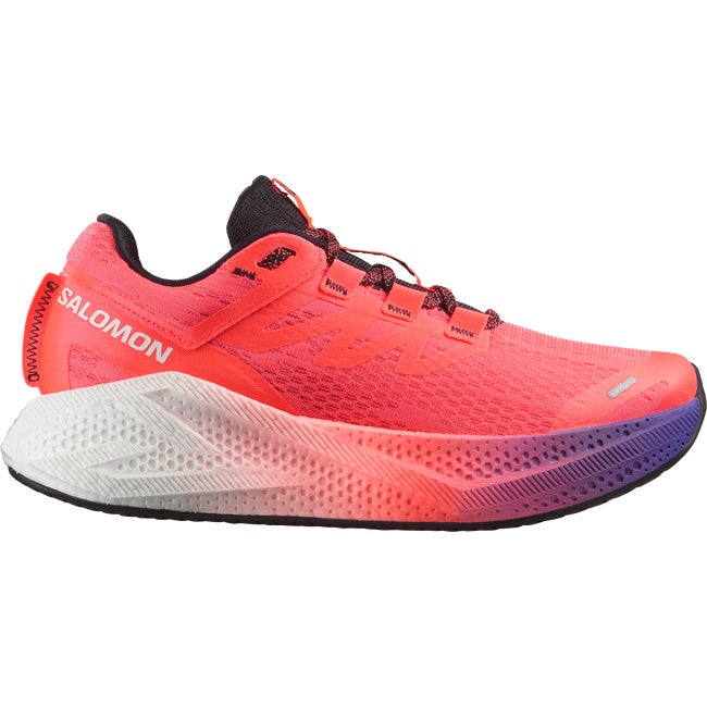 Кецове и обувки Salomon Aero Glide 3 Многоцветен | L47976500, 1