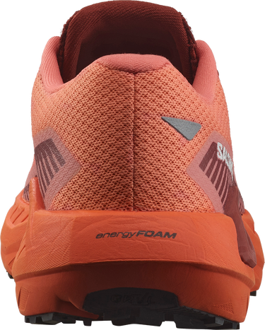 Кецове и обувки Salomon DRX DEFY GRVL W Оранжево
 | l47564300, 1