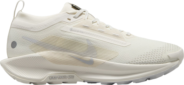 Кецове и обувки Nike Pegasus Trail 5 GORE-TEX Бежово | fq0912-102, 0