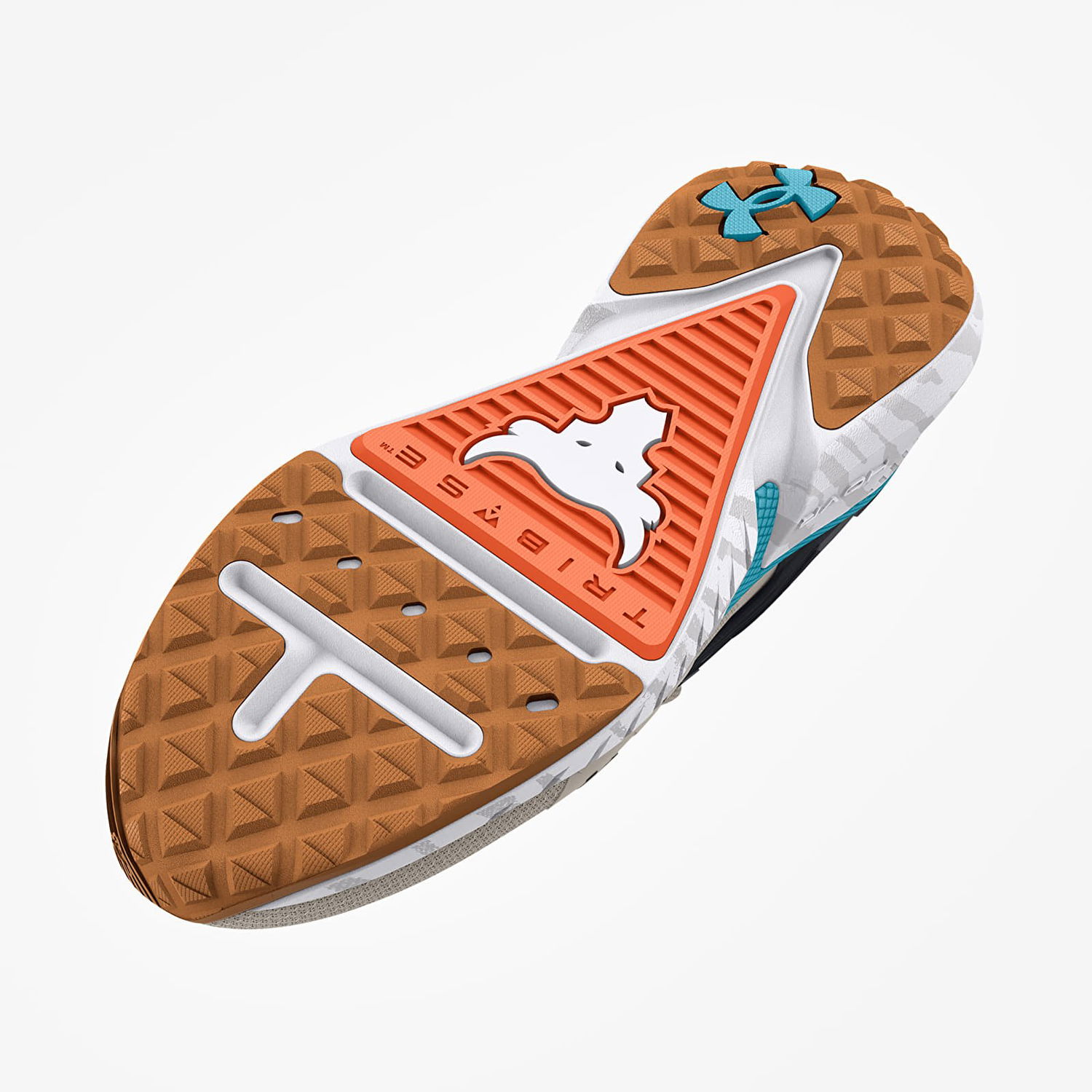 Кецове и обувки Under Armour Project Rock 5 W Сиво | 3025436-101, 1