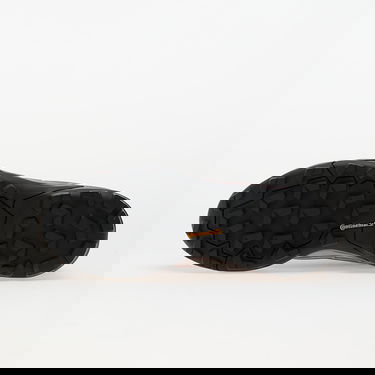 Кецове и обувки adidas Performance Terrex Skychaser GORE-TEX Hiking Shoes Лилаво | IH1100, 1