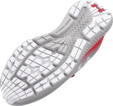 Кецове и обувки Under Armour UA W Charged Rogue 4 Сиво | 3027005-104, 2