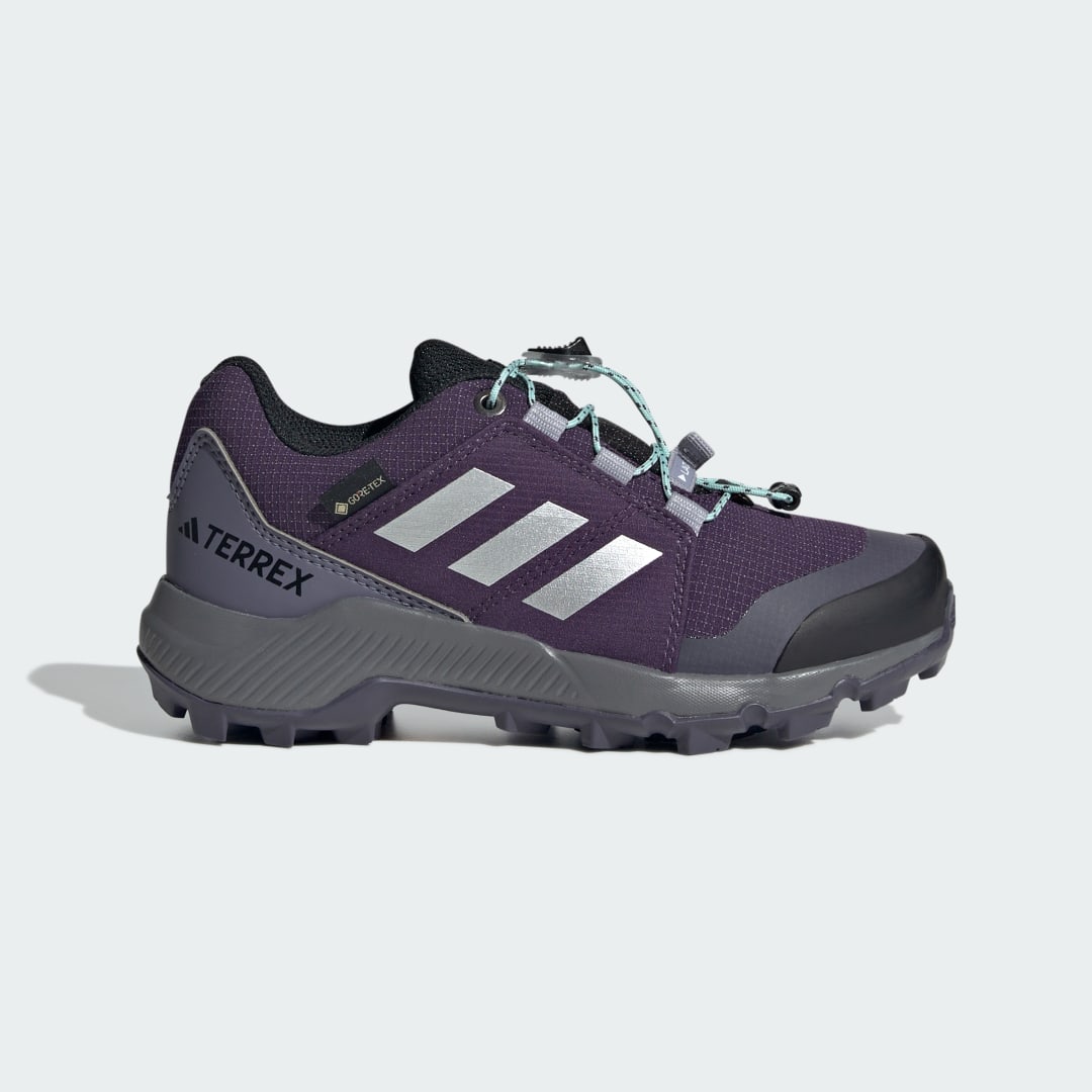 Кецове и обувки adidas Performance Terrex GORE-TEX Hiking Shoes Лилаво | JS2930, 0