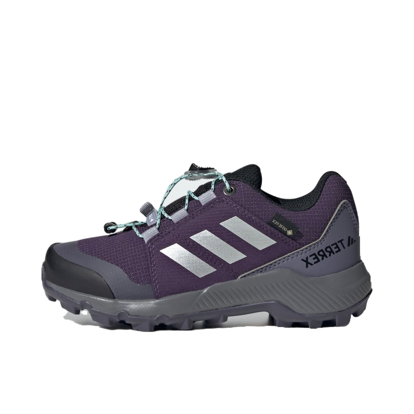 Кецове и обувки adidas Performance Terrex GORE-TEX Hiking Shoes Лилаво | JS2930
