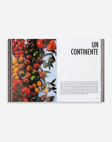 Книга и списание Dolce & Gabbana Dolce & Gabbana Sicily Cookbook Многоцветен | VL1151VLTW89V000, 3