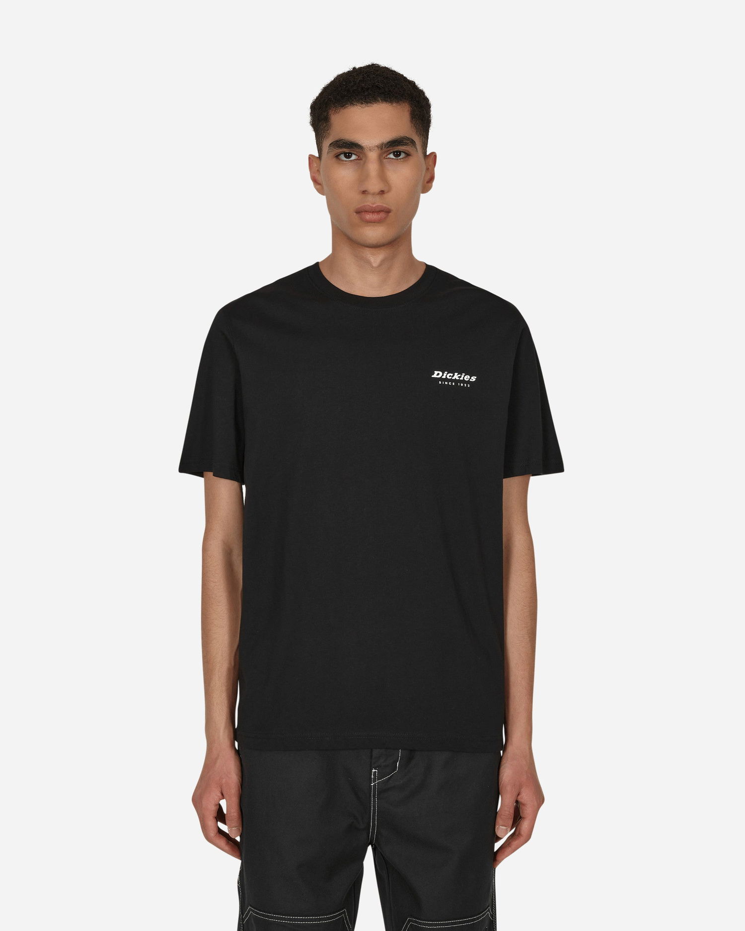 Тениска Dickies Camden Box T-Shirt Черно | DK0A4Y1H BLK1, 0