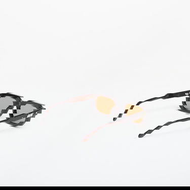 Слънчеви очила RIPNDIP Catstanza Sunglasses Universal Кафяво | RNDSUM25207T, 3